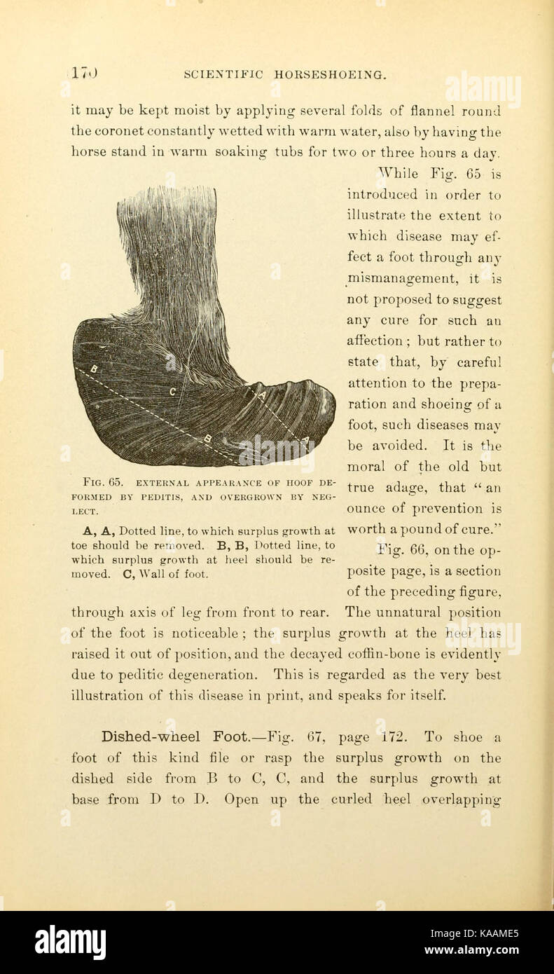 Russell sur produits scientifiques (page 170) BHL19280986 Banque D'Images
