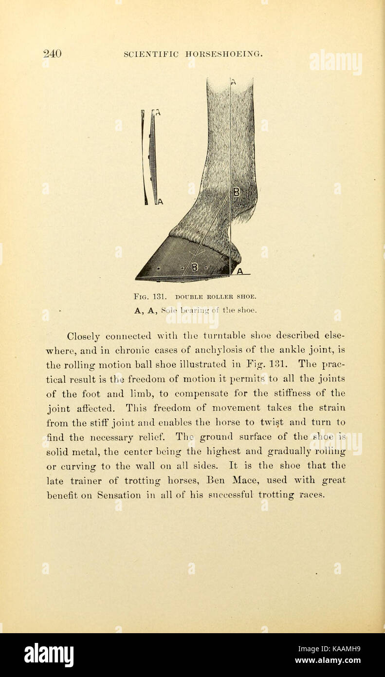 Russell sur produits scientifiques (page 240) BHL19281056 Banque D'Images