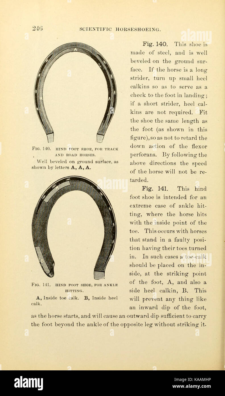 Russell sur produits scientifiques (page 246) BHL19281062 Banque D'Images