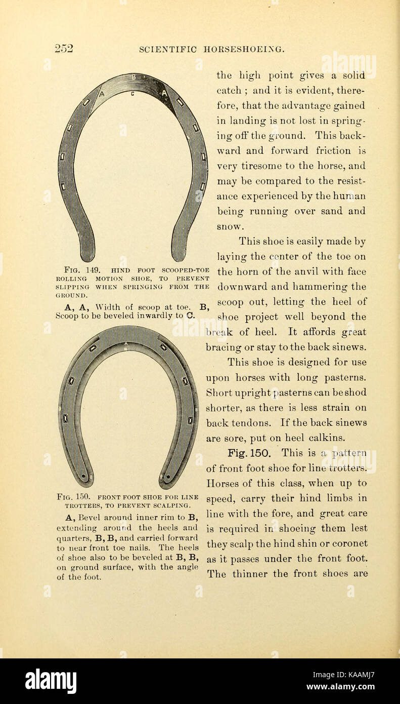 Russell sur produits scientifiques (page 252) BHL19281068 Banque D'Images