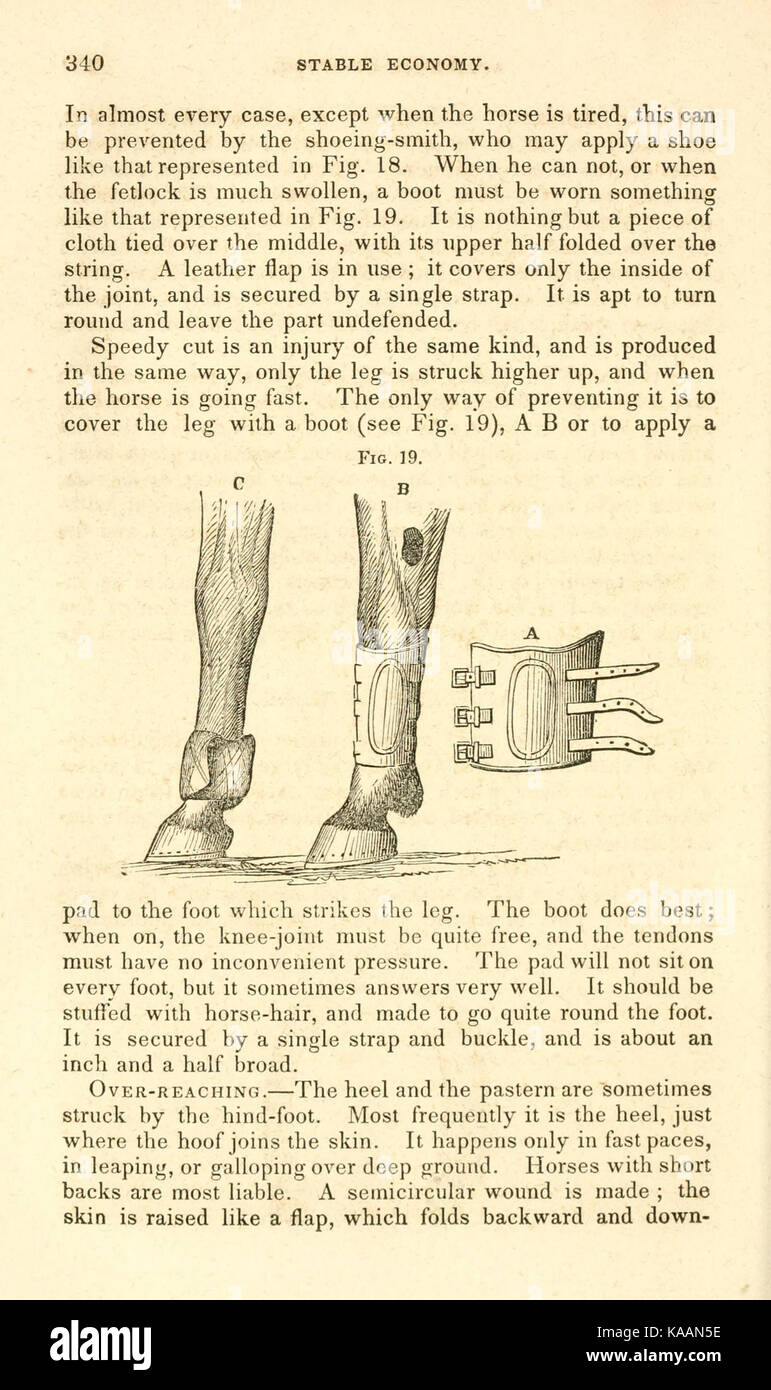 Stabilité de l'économie (page 340) BHL24241890 Banque D'Images