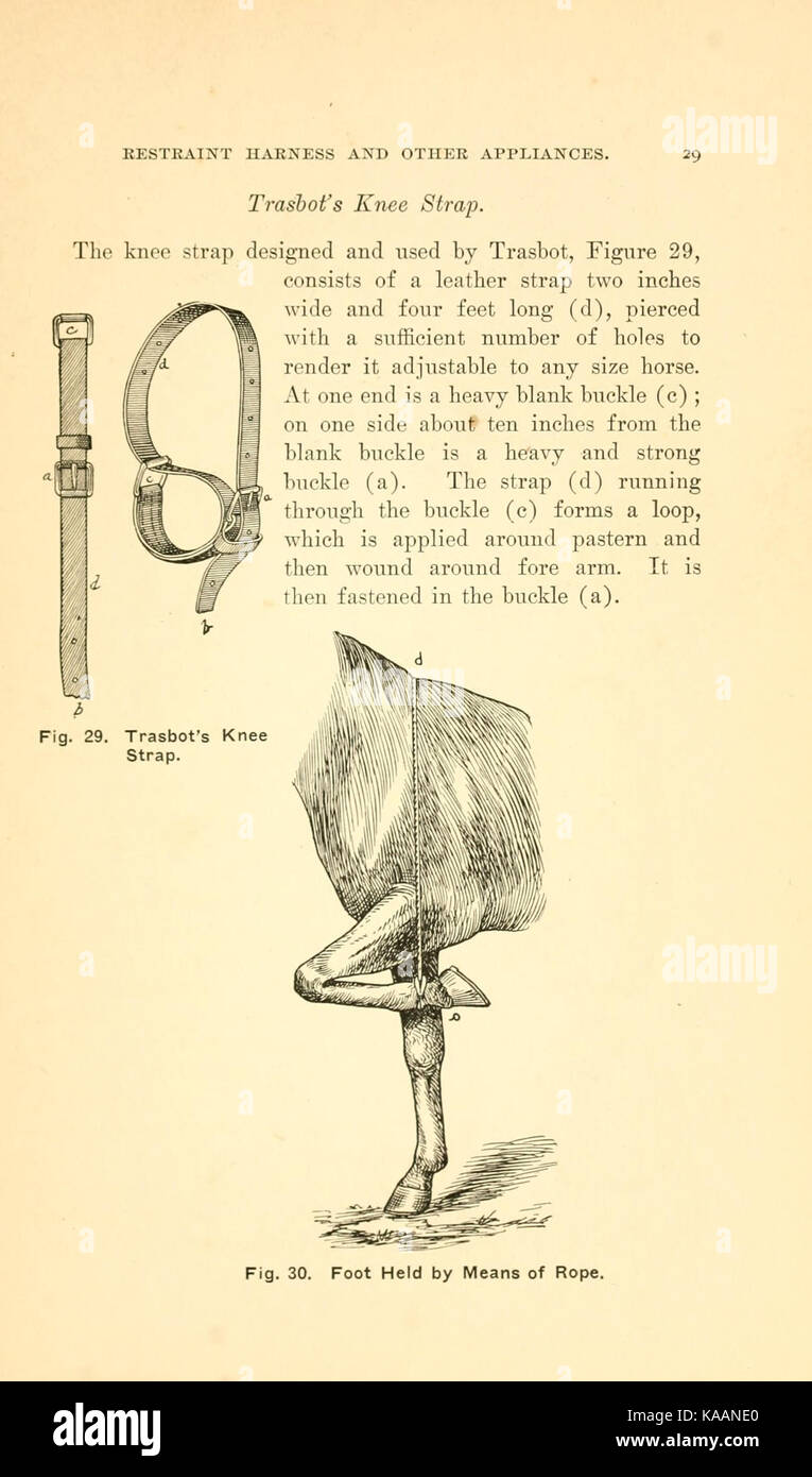 Cette page d'un livre ancien illustre la retenue des animaux domestiques, offrant un aperçu des pratiques historiques liées à la gestion des animaux. L'illustration donne un aperçu des techniques passées utilisées dans l'élevage. Banque D'Images