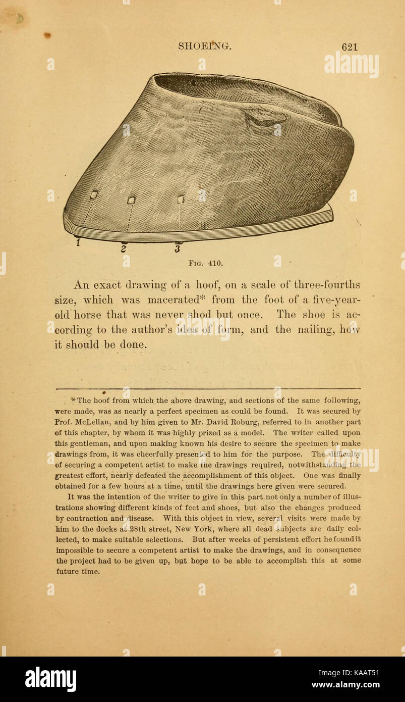 L'art d'apprivoiser et d'éduquer le cheval (page 621) BHL21388575 Banque D'Images