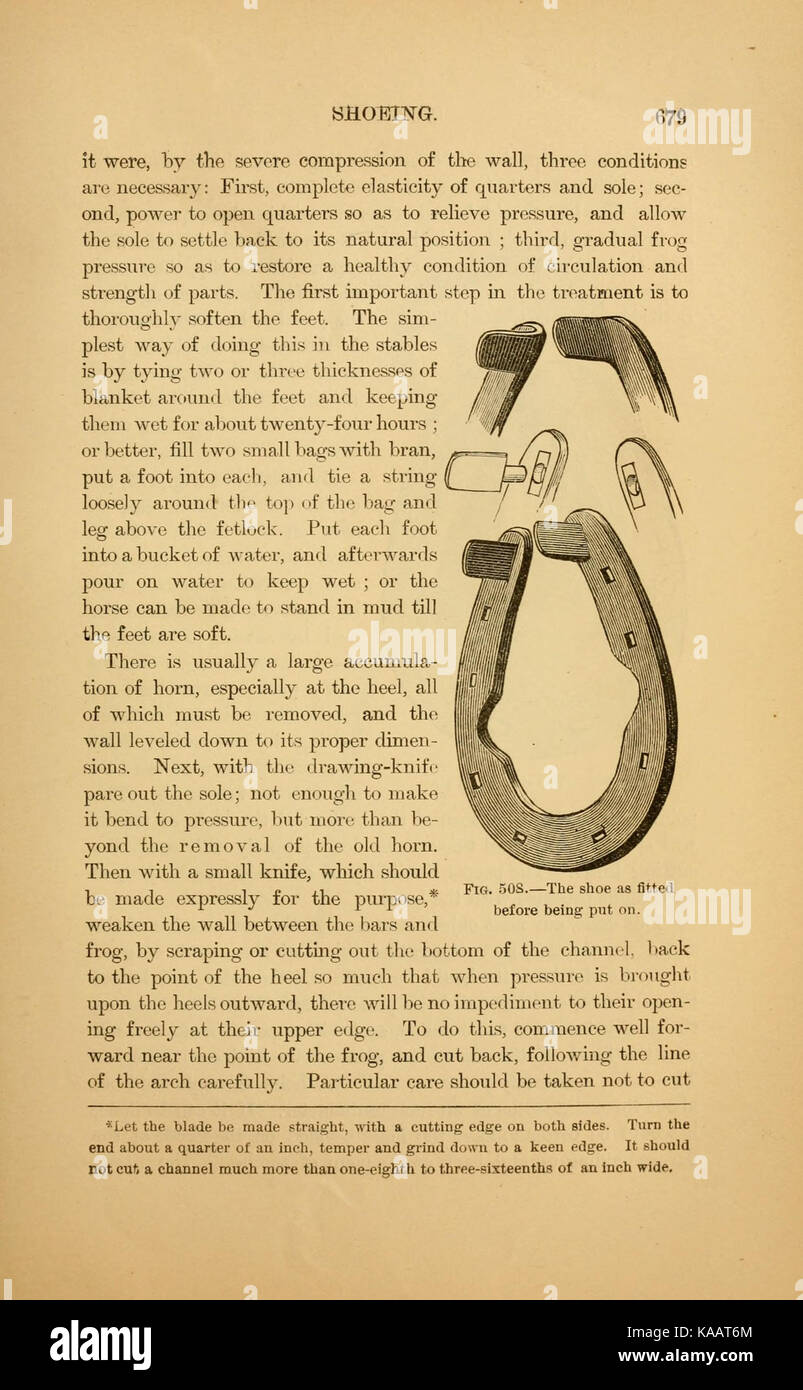 Cette page de 'L'art de dompter et d'éduquer le cheval' offre un aperçu de l'entraînement et de la gestion du comportement des chevaux. Les instructions et techniques détaillées visent à enseigner aux maîtres-chevaux des méthodes efficaces pour éduquer les chevaux de manière contrôlée. Banque D'Images