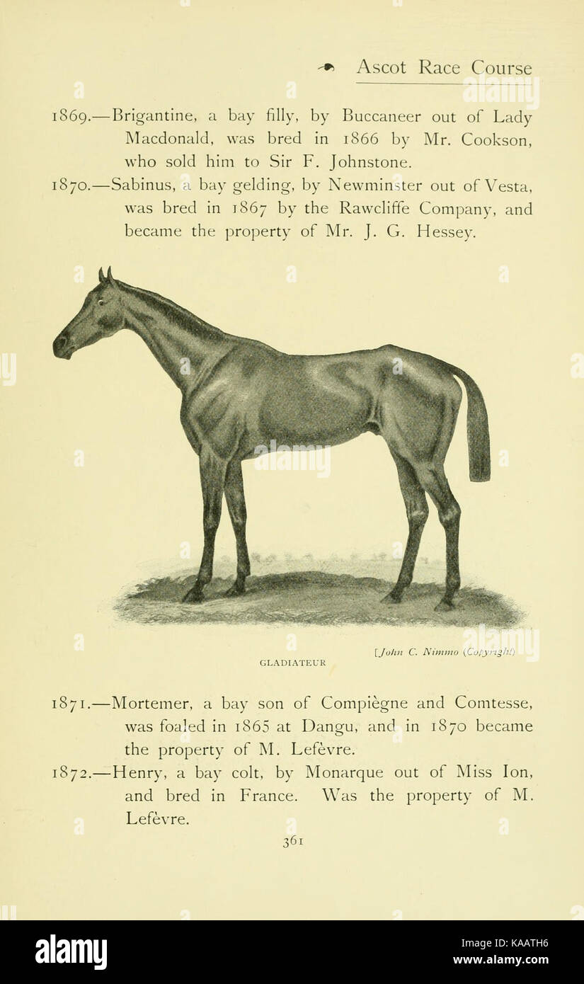 Cette image de « Royal Ascot » capture la prestigieuse course hippique organisée chaque année au Royaume-Uni, connue pour sa riche histoire et son soutien royal. Banque D'Images