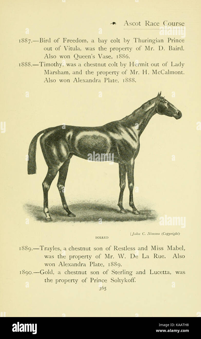 Le Royal Ascot est une prestigieuse course hippique organisée chaque année au Royaume-Uni, réputée pour son histoire, sa mode et son mécénat royal. La page 365 de la collection BHL met en évidence des moments et des chevaux notables dans la compétition. Banque D'Images