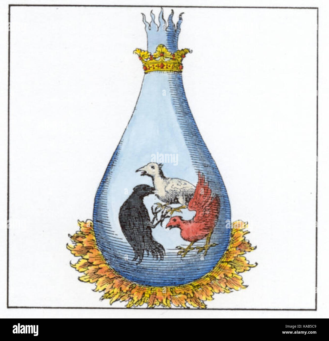 Splendor Solis. Image 13 Jupiter trois oiseaux Banque D'Images