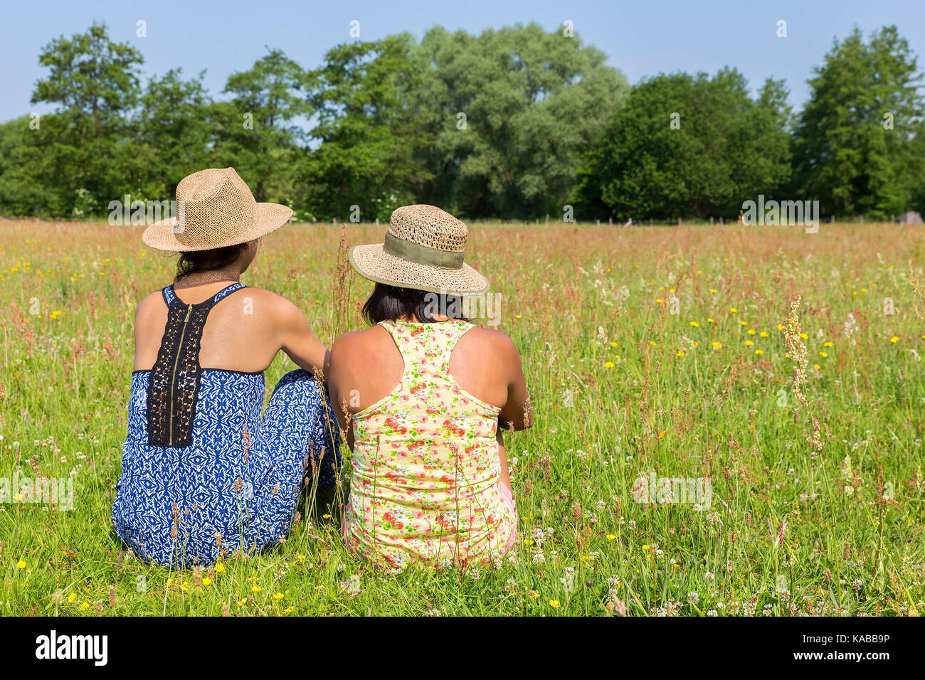 Vue arrière deux femmes assis ensemble dans la prairie en fleurs Banque D'Images