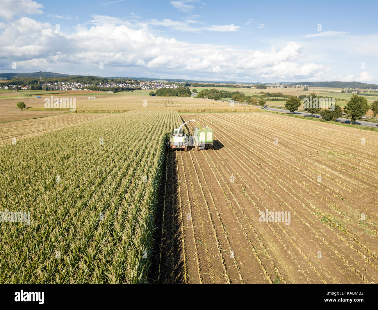 La récolte dans le champ de maïs. drone aérien shot Banque D'Images