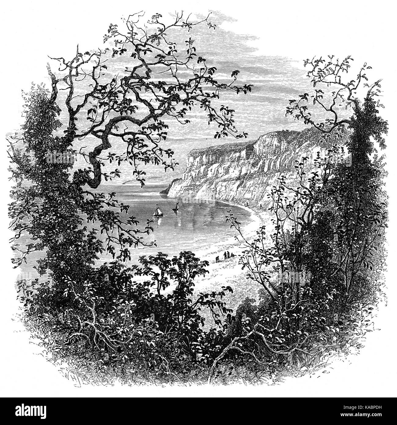 1870 : Shanklin Chine est un ravin côtières boisées, il contient des chutes d'eau, des arbres et de la végétation luxuriante. L'attraction est dans la ville de Shanklin, sur l'île de Wight, Angleterre. Banque D'Images