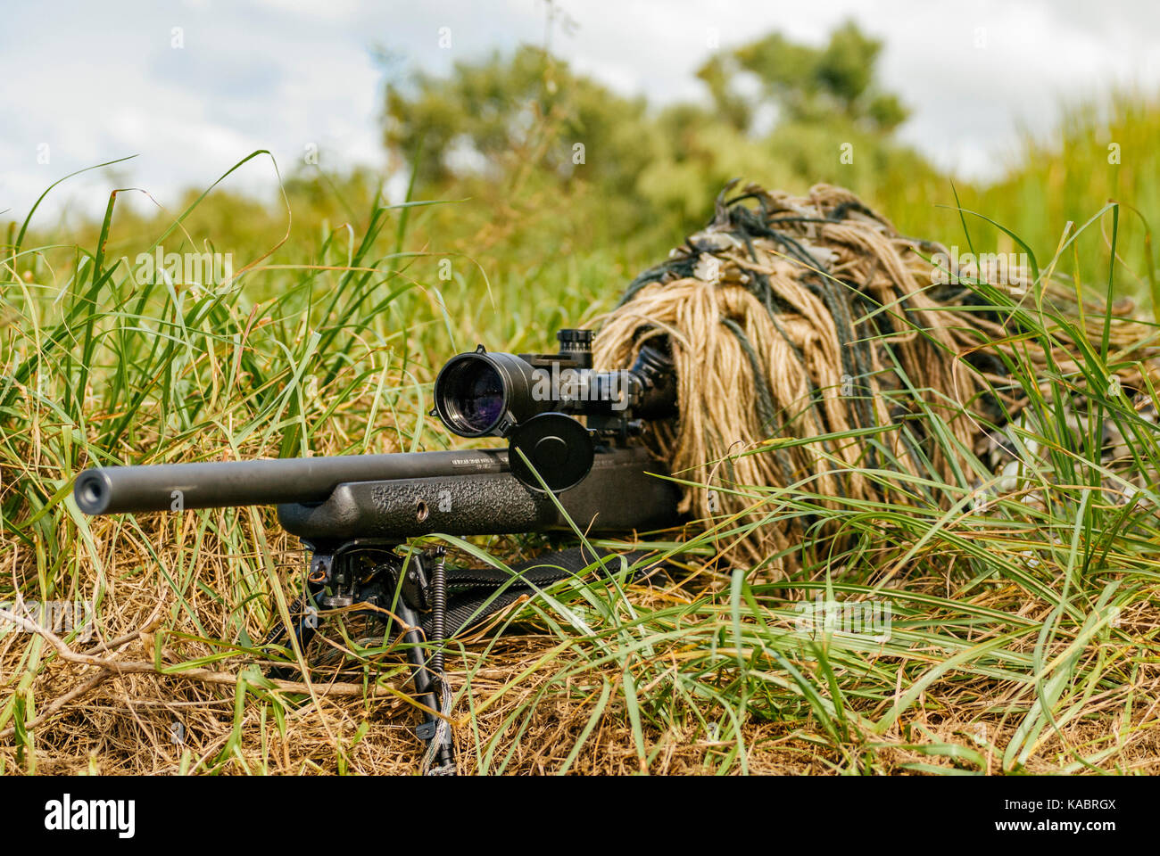 SWAT Police sniper dans un ghillie suit à la portée de fusil à travers une végétation dense entouré par la police au cours d'un exercice de formation aux Etats-Unis. Banque D'Images