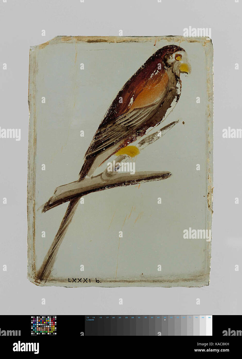 Une œuvre intitulée 'Ruit met een vogel op Tak', qui se traduit par 'Ruit avec un oiseau sur une branche'. La pièce représente probablement un oiseau perché sur une branche, présentant une œuvre d'art ou une photographie sur le thème de la nature. Banque D'Images