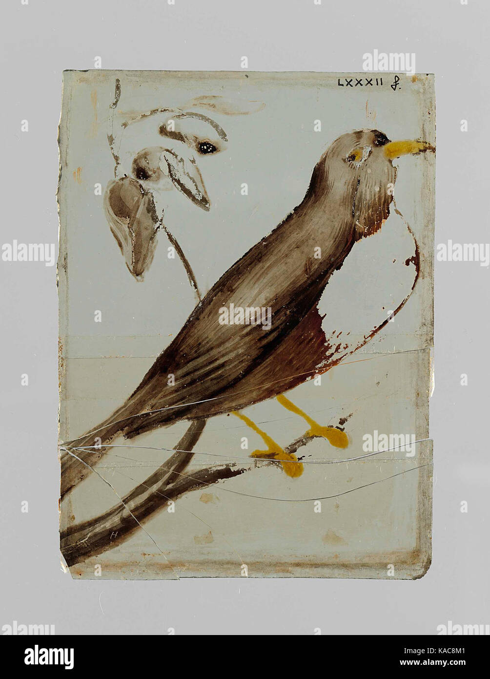 Ruit met een vogel op een tak Banque D'Images Ruit met een vogel op een tak Banque D'Images