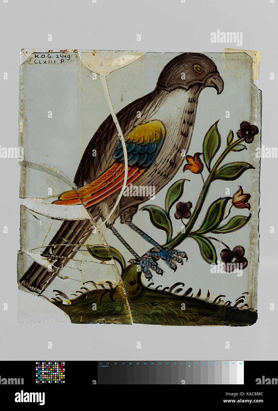 Ruit rencontré vogel op tak waaraan vijf bloemen Banque D'Images Ruit rencontré vogel op tak waaraan vijf bloemen Banque D'Images