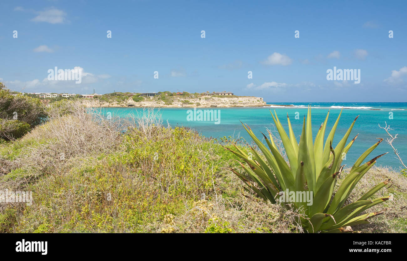 Devil's Bridge Bay - Caraïbes mer tropicale - Antigua-et-Barbuda Banque D'Images