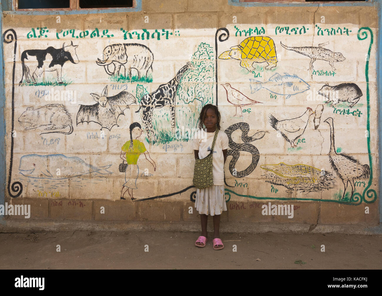 Tribu Nyangatom fille devant un mur d'école représentant des animaux, Kangate, vallée de l'Omo, Ethiopie Banque D'Images