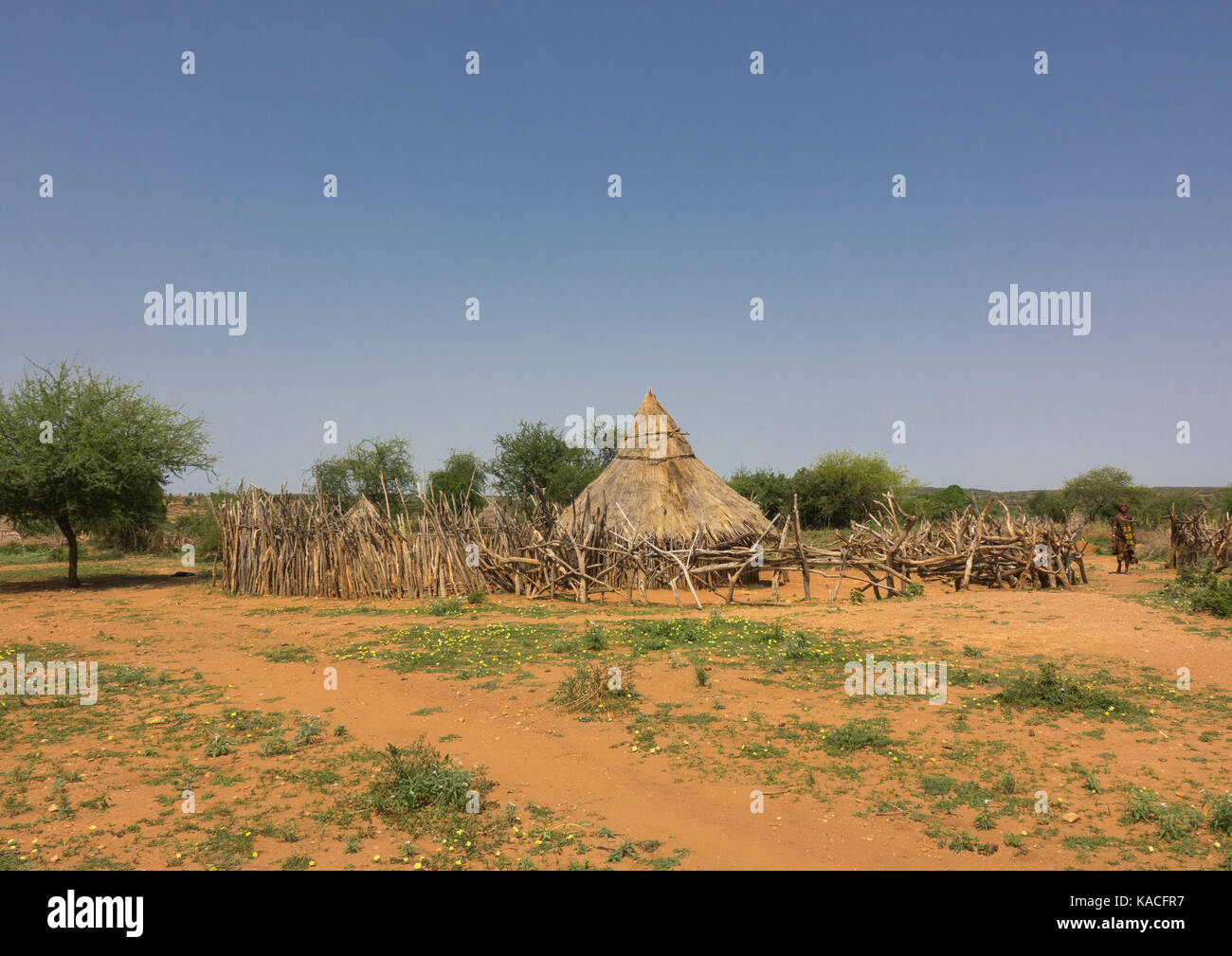 Cabane dans un village dans le sud de l'Ethiopie Turmi, vallée de l'Omo, Ethiopie Banque D'Images