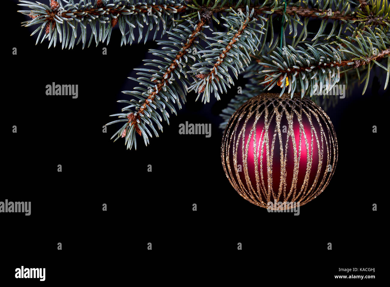 Une boule de noël sur un rameau de sapin, fond noir Banque D'Images