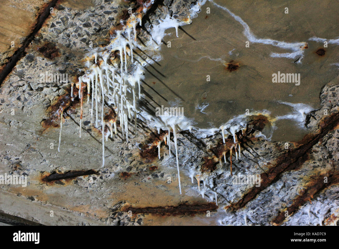 Le sel et les limes lessivage à partir de formes concrètes stalactites dans sous-sol de l'usine de papier eddy b e, Ottawa, Canada, fermée en 2007. Banque D'Images