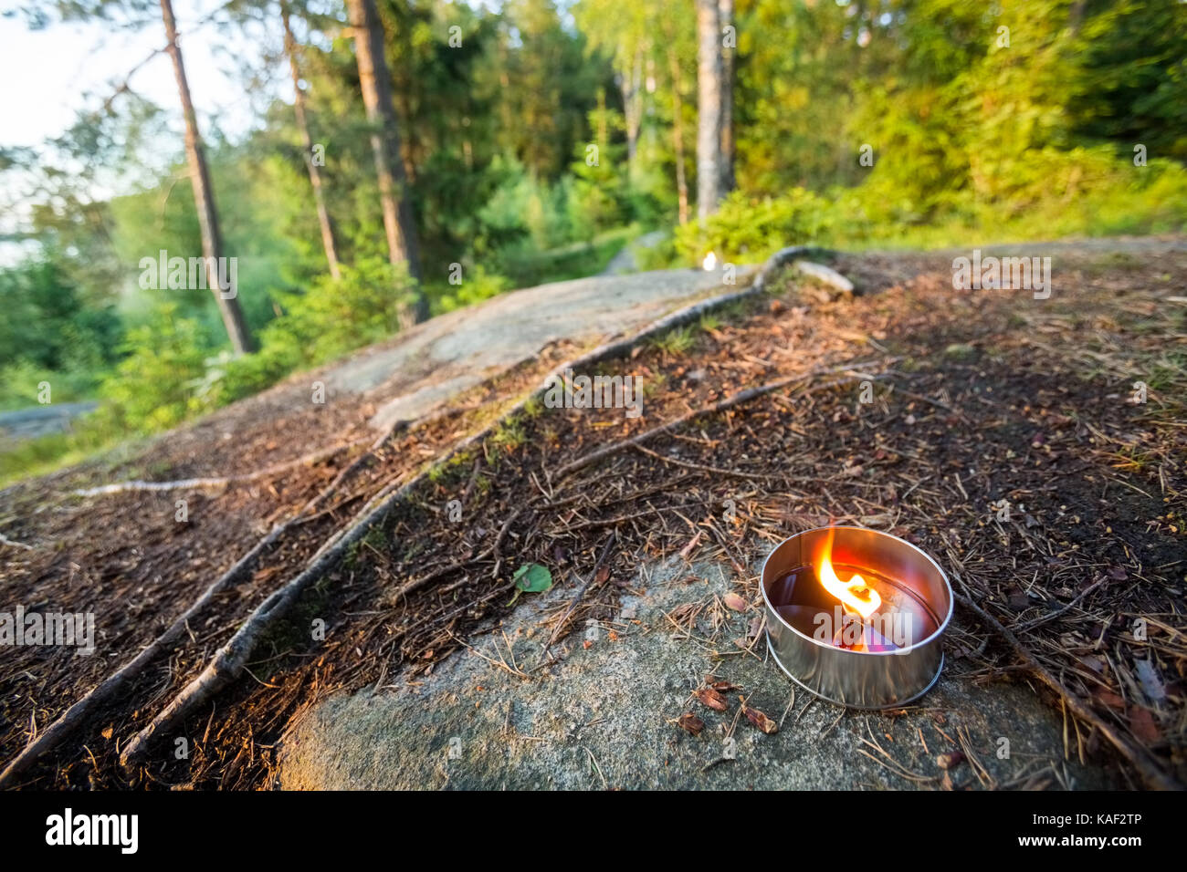 Tealight candle on rock contre des arbres Banque D'Images