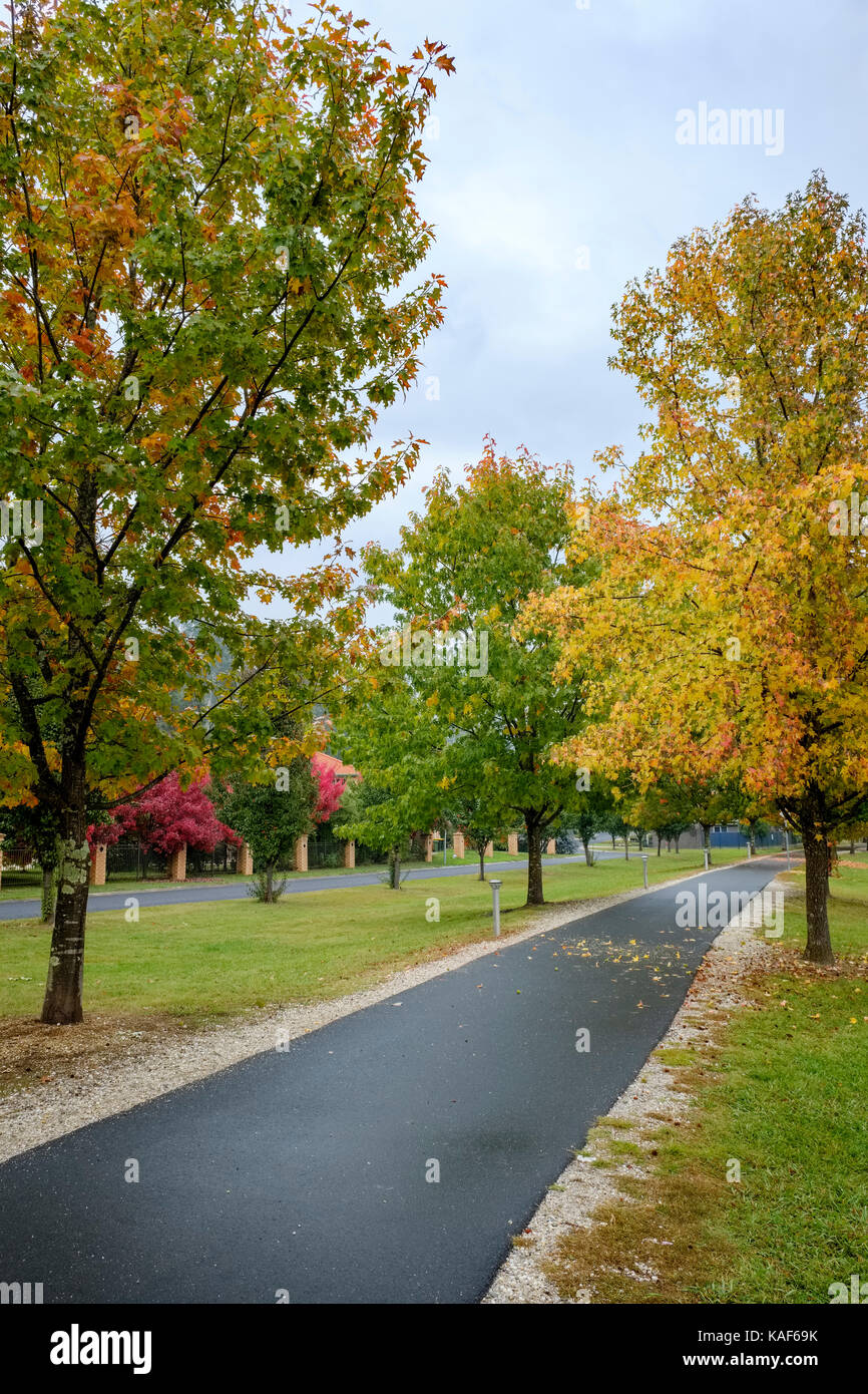Ajouter les feuilles d'automne couleur spectaculaire de la ville de High Country victorien lumineux, de l'Australie. Banque D'Images