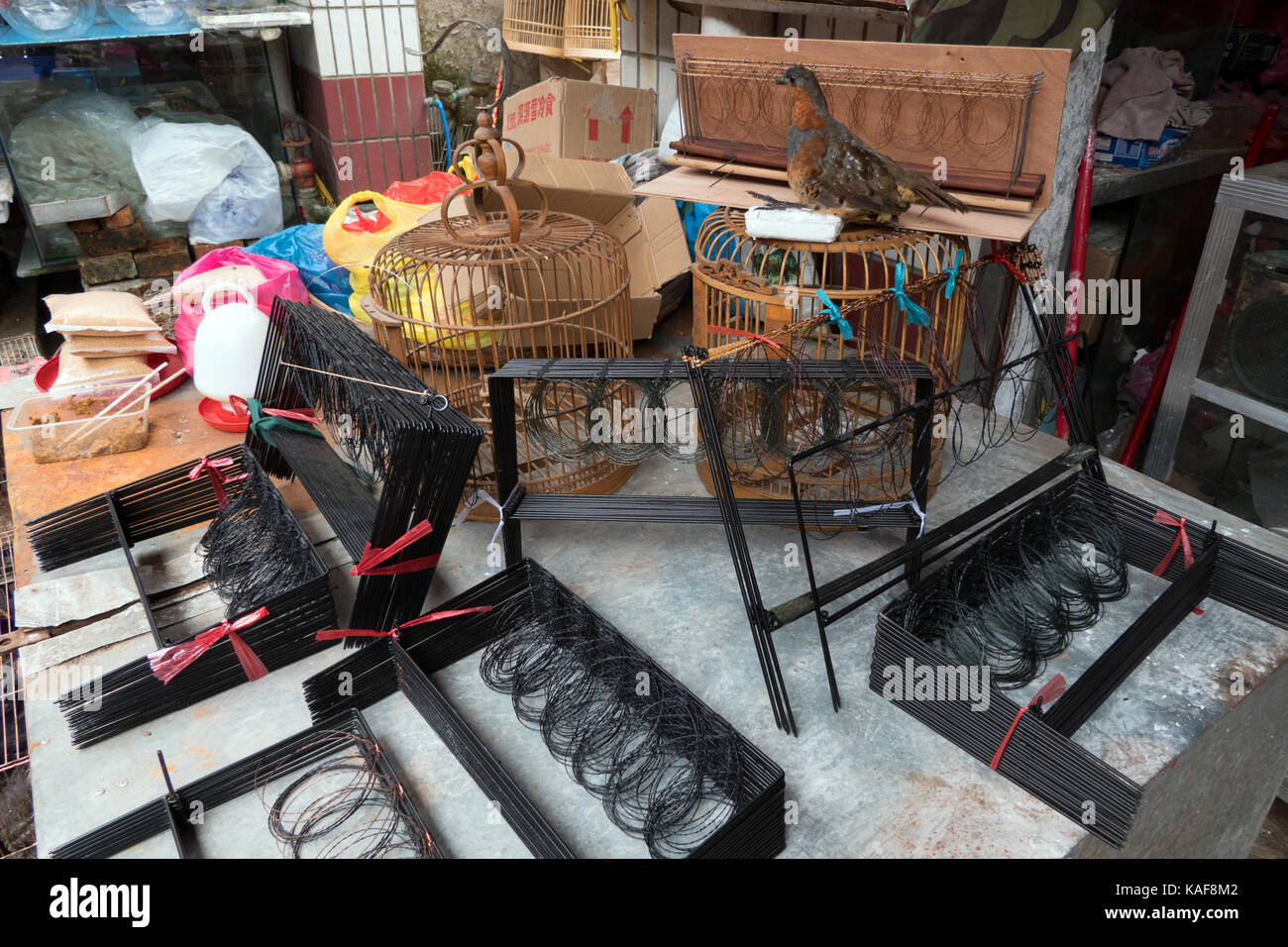 Boutique de produits chinois des interruptions à chasser les animaux, la faune, les oiseaux exotiques dans un marché traditionnel de Guilin, Chine, Asie Banque D'Images