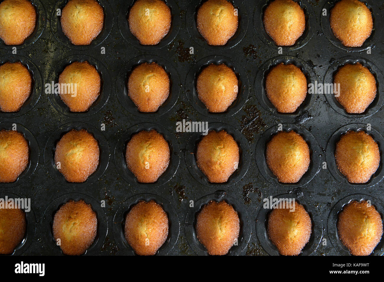 La production de madeleines à la biscuiterie Biscuiterie 'Jeannette', dans Demouville (Normandie, nord-ouest de la France). Banque D'Images