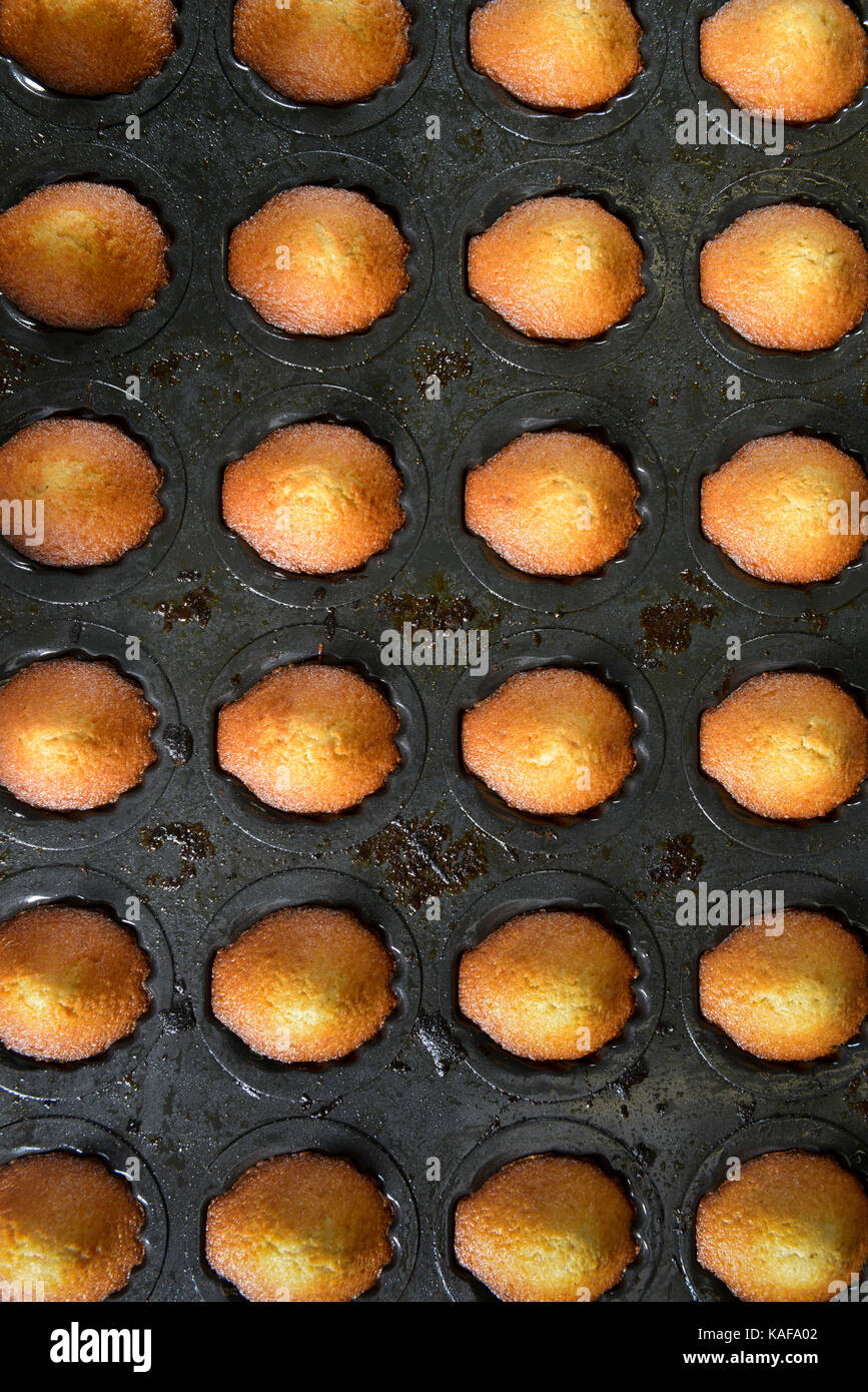 La production de madeleines à la biscuiterie Biscuiterie 'Jeannette', dans Demouville (Normandie, nord-ouest de la France). Banque D'Images