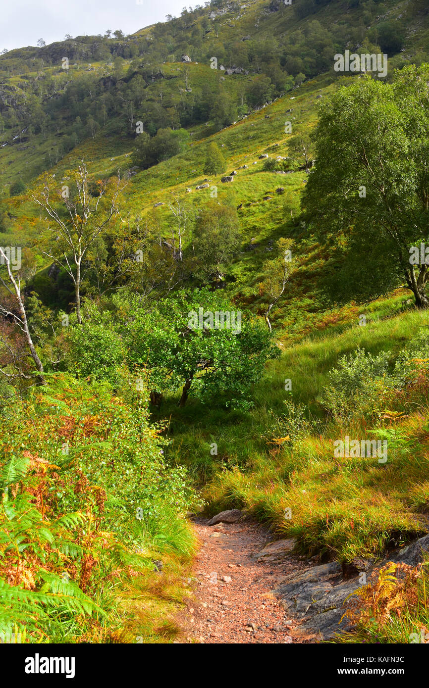 Sentier de promenade Glen Nevis Banque D'Images