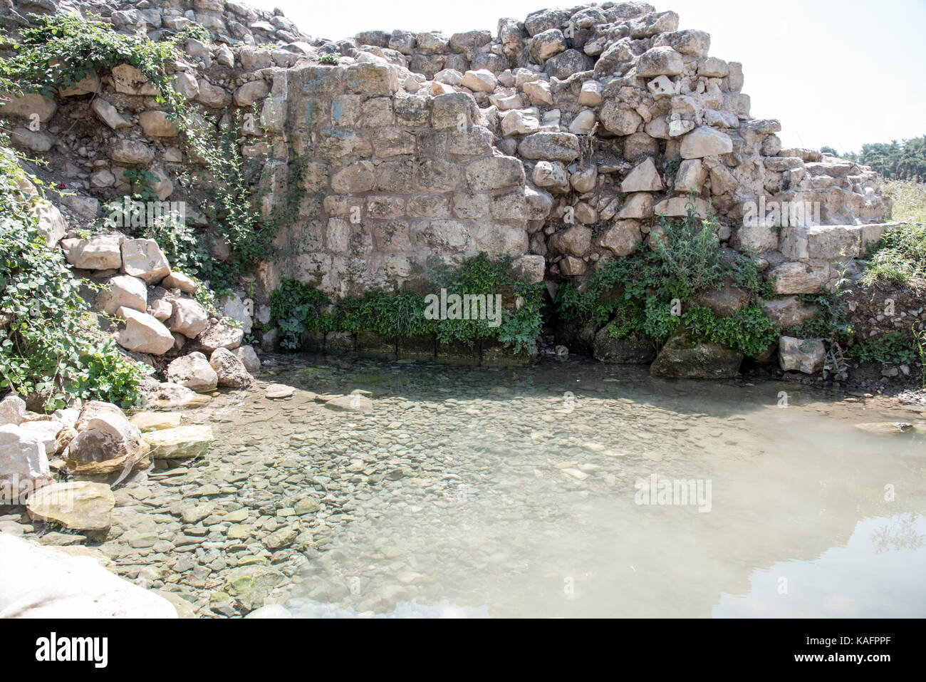 Zippori. printemps ce printemps, situé près de l'ancienne ville de sepphoris (zippori) en Galilée, Israël était la principale source d'eau à la ville Banque D'Images