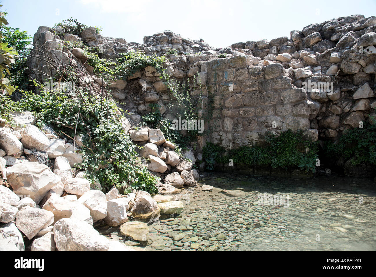 Zippori. printemps ce printemps, situé près de l'ancienne ville de sepphoris (zippori) en Galilée, Israël était la principale source d'eau à la ville Banque D'Images
