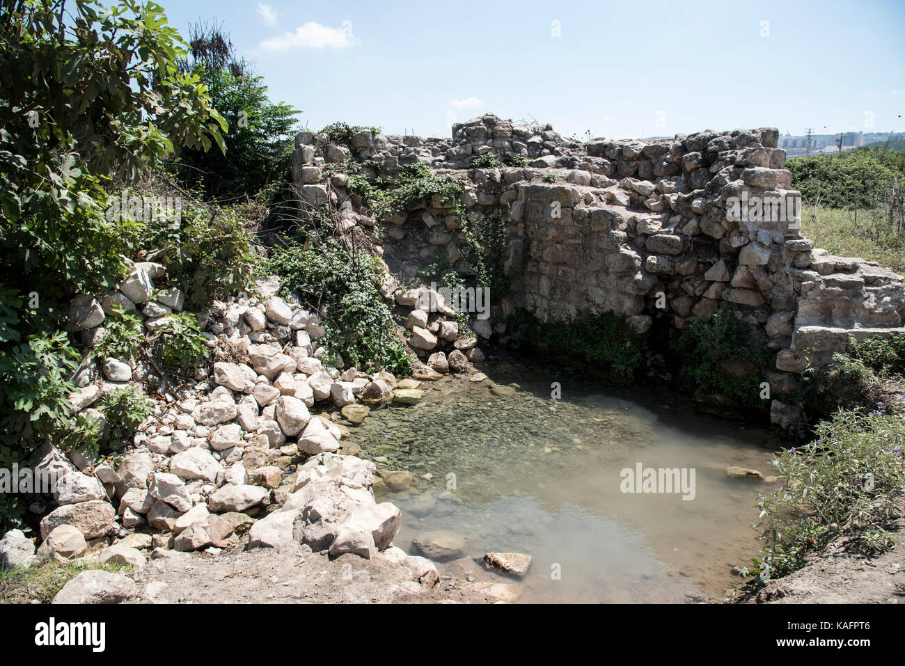 Zippori. printemps ce printemps, situé près de l'ancienne ville de sepphoris (zippori) en Galilée, Israël était la principale source d'eau à la ville Banque D'Images