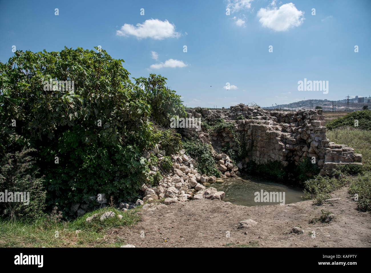 Zippori. printemps ce printemps, situé près de l'ancienne ville de sepphoris (zippori) en Galilée, Israël était la principale source d'eau à la ville Banque D'Images