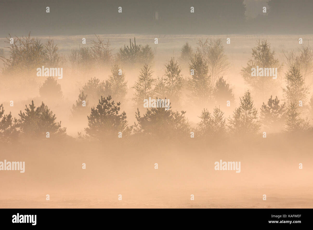 L'humeur du matin dans une ancienne exploitation à ciel ouvert de charbon mou Banque D'Images