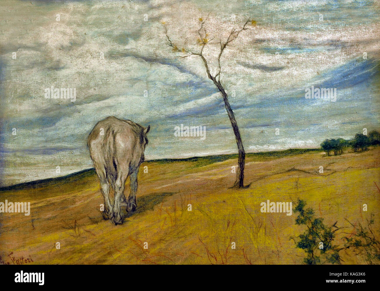 Paysage de vache par Giovan ni Fattori 1825-1908 Italie Italien Banque D'Images