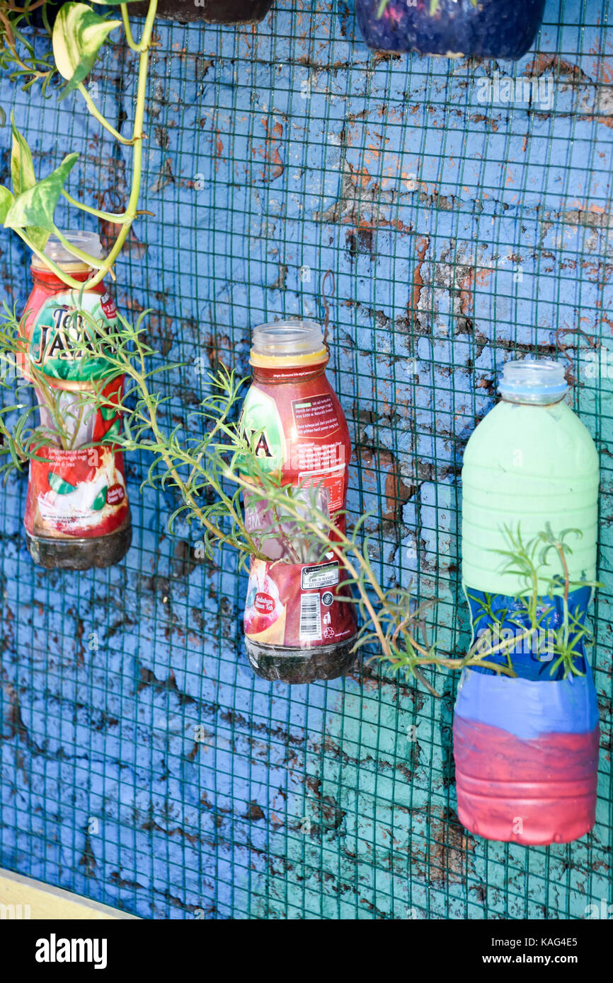 Les bouteilles en plastique utilisées comme des jardinières au rainbow village de Semerang, Indonésie Banque D'Images