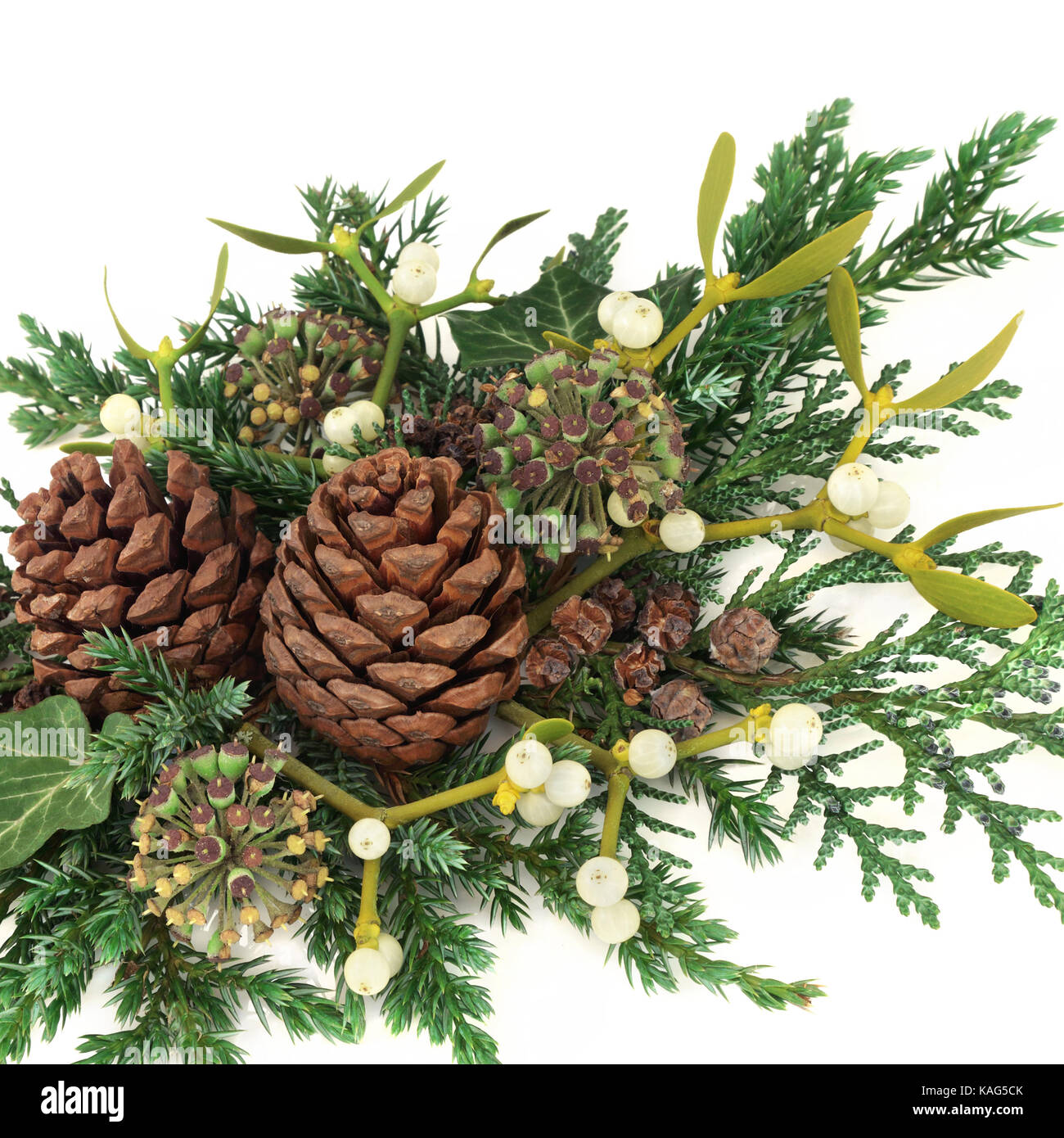 Verdure d'hiver décoratif avec le gui, de cèdre et de cyprès, genévrier branches de feuilles de lierre et des pommes de pin sur fond blanc. Banque D'Images Verdure d'hiver décoratif avec le gui, de cèdre et de cyprès, genévrier branches de feuilles de lierre et des pommes de pin sur fond blanc. Banque D'Images