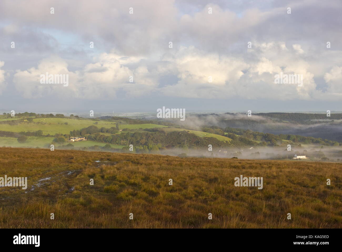 Matin brumeux en direction de gorge de lydford dartmoor national park Devon, Angleterre Banque D'Images