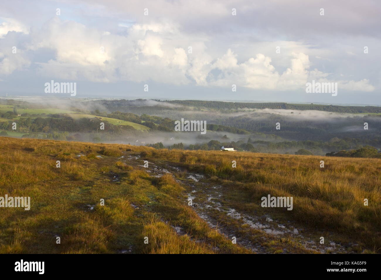 Matin brumeux en direction de gorge de lydford dartmoor national park Devon, Angleterre Banque D'Images