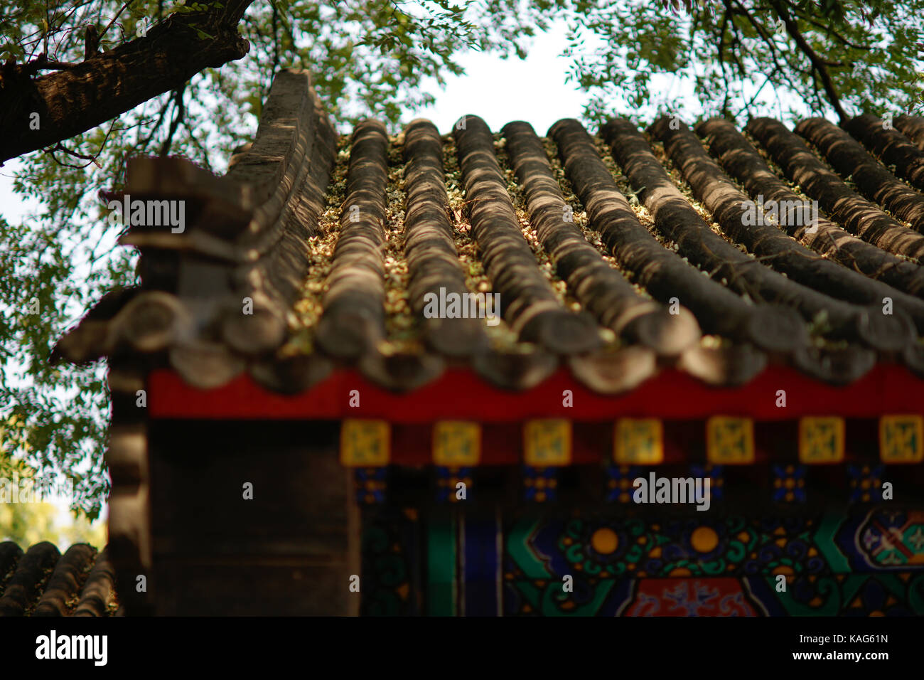 L'avant-toit au temple des lamas à Beijing Banque D'Images
