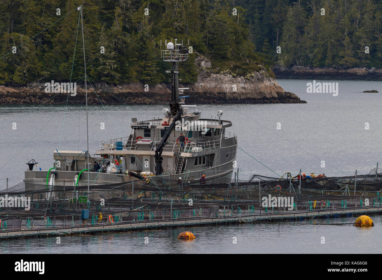 Les premières nations de protestation contre les fermes de la Colombie-Britannique, de l'élevage de poissons de l'occupation, Canada Banque D'Images