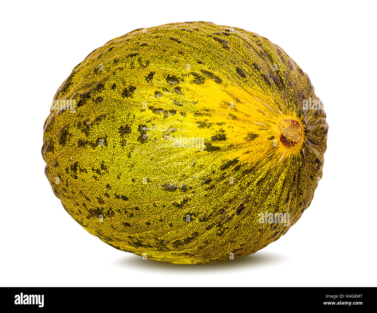 Melon isolé sur fond blanc Banque D'Images