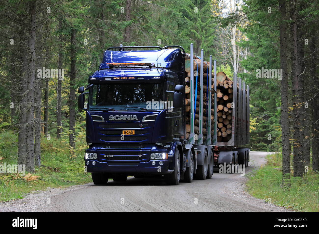 Laukaa, Finlande - le 22 septembre 2017 : bleu foncé scania r730 camion d'exploitation forestière sur un essai de conduite le long chemin de terre en forêt de sapins au cours de Scania laukaa tupasw Banque D'Images