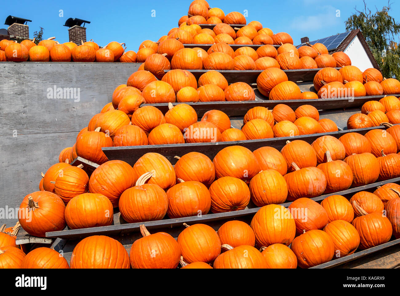 Lors d'une pyramide haut pumpkin pumpkin farm Banque D'Images