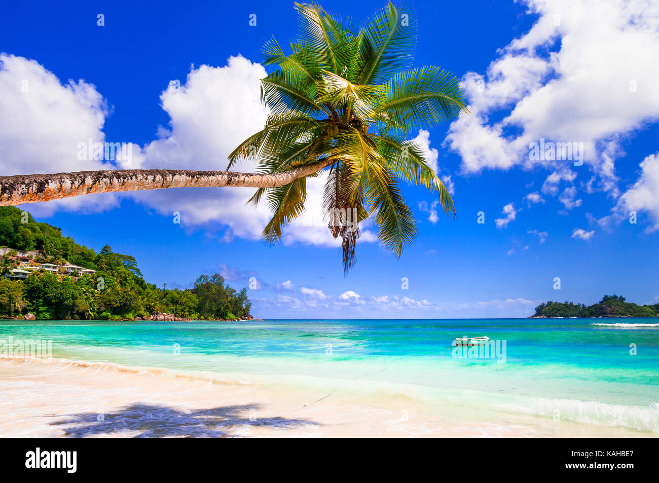Belle plage à Praslin Island, Seychelles. Banque D'Images