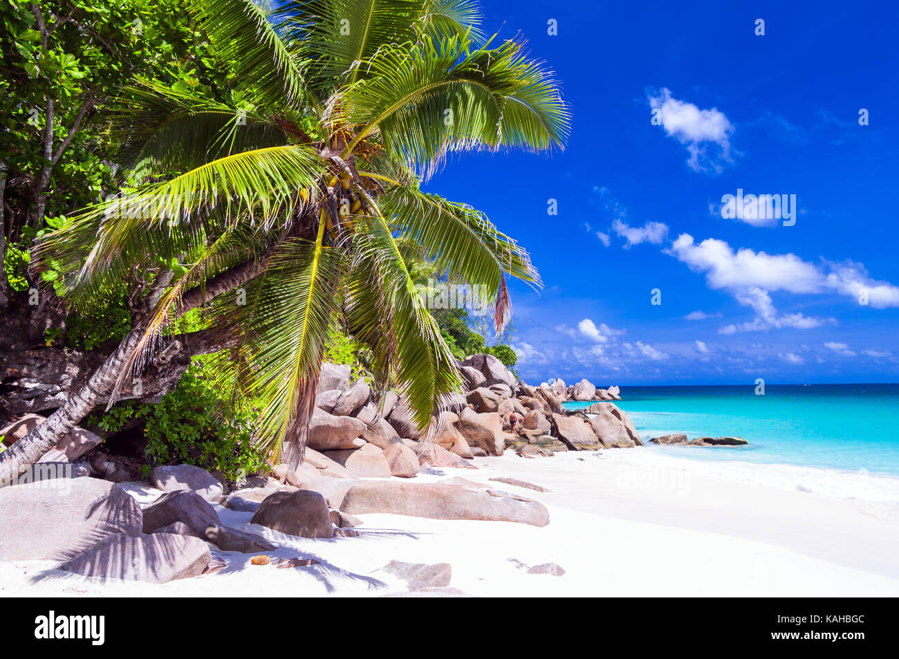 La mer d'azur et de sable blanc dans un paradis tropical, l'île des Seychelles. Banque D'Images