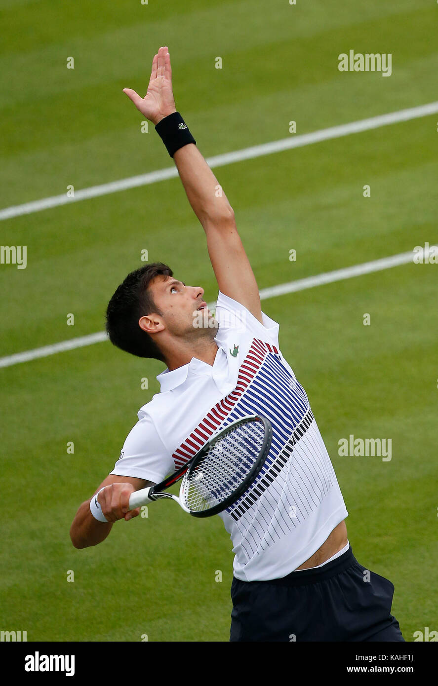 Le Serbe Novak Djokovic sert contre Vasek Pospisil journée Canadienne sur cinq de l'Aegon International au Devonshire Park, Eastbourne. 27 Juin 2017 Banque D'Images