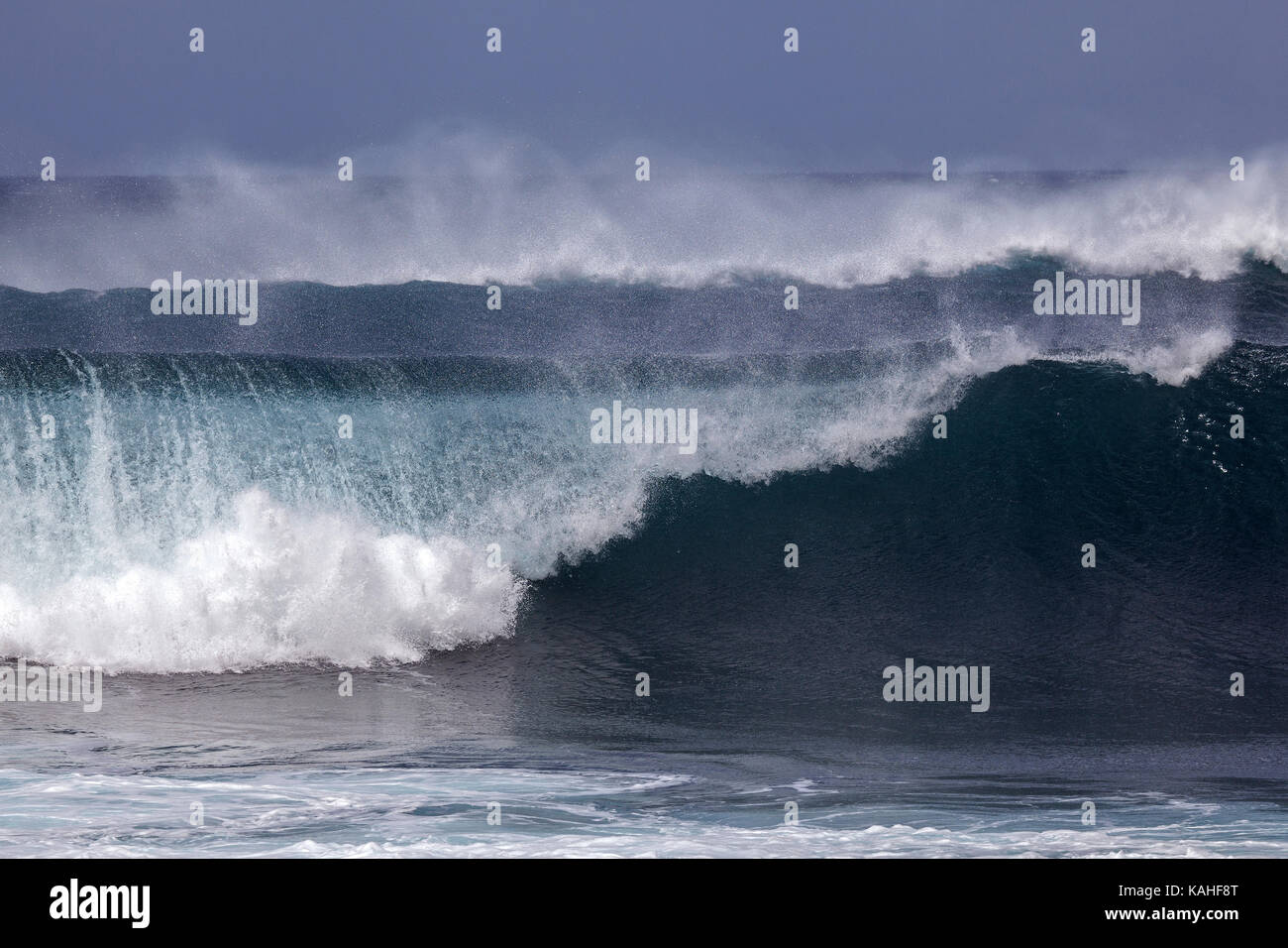 Vagues déferlantes, forte houle, gerbe, île de Faial, Açores, Portugal Banque D'Images