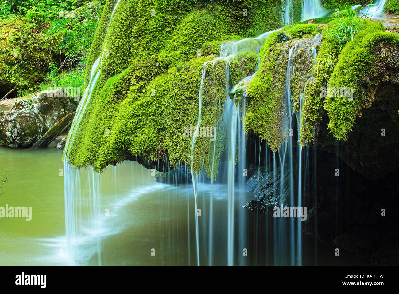 Détail de belle cascade pleine de mousse verte, la cascade de Brasov, bigar Roumanie Banque D'Images