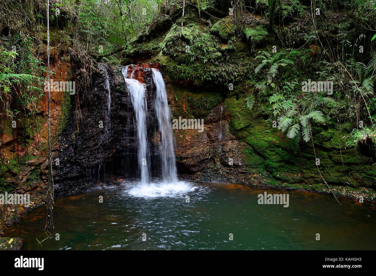 Cascade Salto Kanymby, Réserve biologique Tati Yupi, Hernandarias, Alto Paraná, Paraguay Banque D'Images